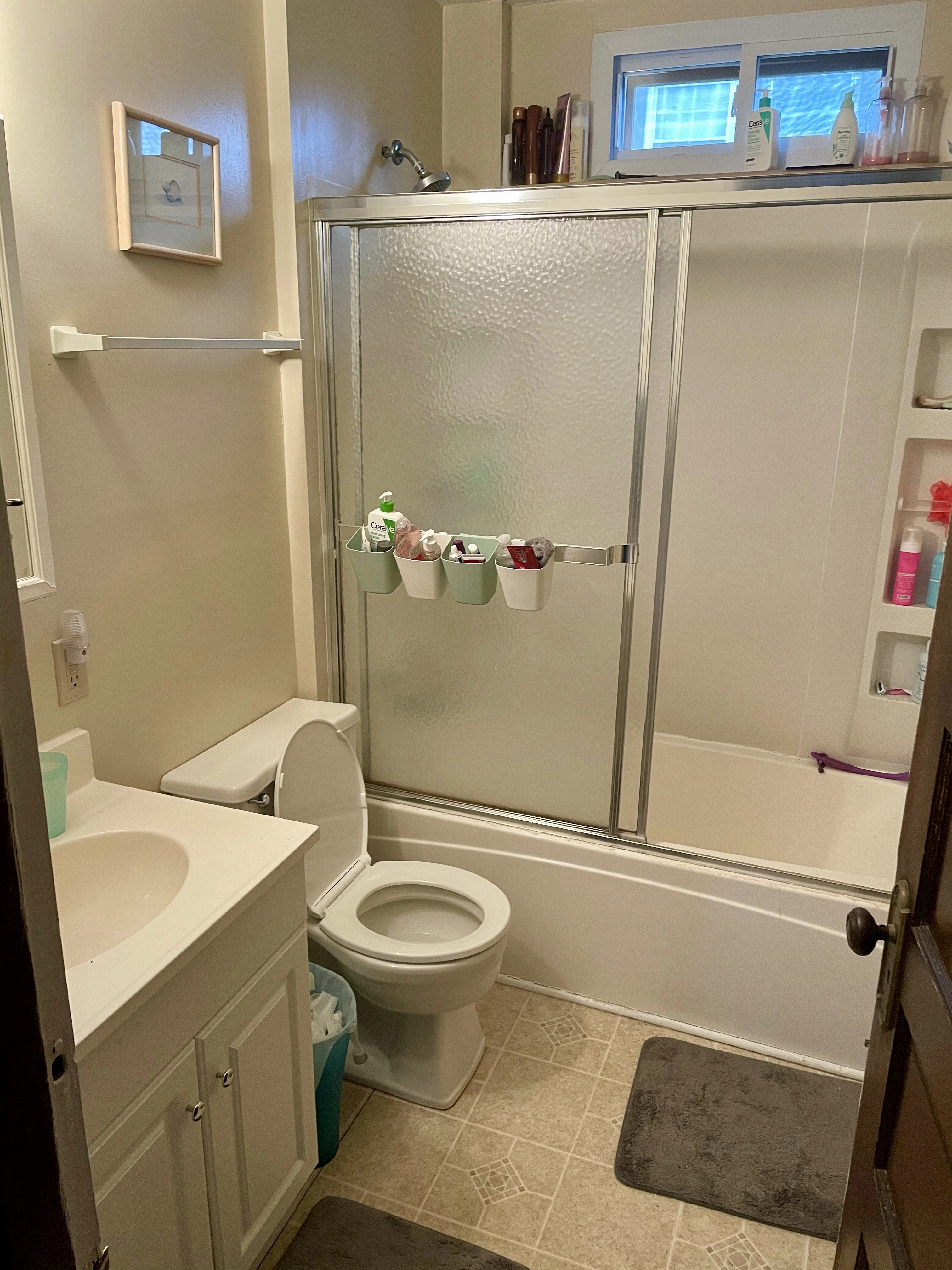 Bathroom before renovation